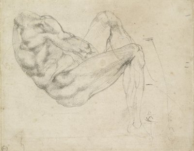 Studie einer liegenden männlichen Figur, recto von Michelangelo Buonarroti